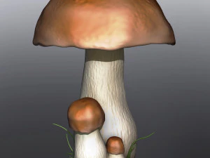 cogumelos florestais para impressão em impressora 3D para o interior de um apartamento e escritório com Modelo 3D