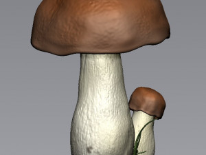 forest mushrooms for 3d printer printing for the interior of an apartment and office com 3D Model
