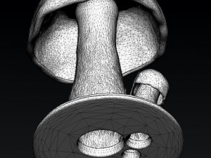 forest mushrooms for 3d printer printing for the interior of an apartment and office com 3D Model
