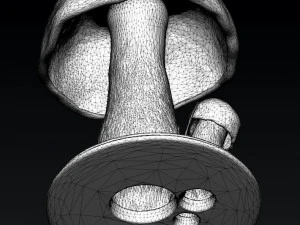 forest mushrooms for 3d printer printing for the interior of an apartment and office com 3D Model