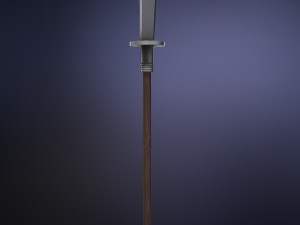 chinese long battle saber Modelo 3D