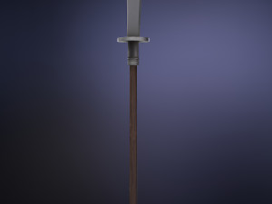 chinese long battle saber Modelo 3D