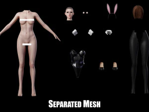 Bunny Girl 3D Model