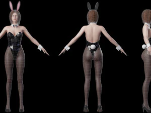 Bunny Girl 3D Model