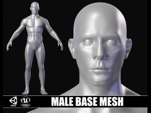 Realistic Athletic Man Body Base Mesh 3D Model