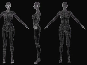 Realistic Female Body Base Mesh 3D Model