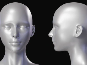 Realistic Female Body Base Mesh 3D Model