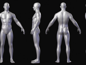Realistic Body Base Mesh Set 3D Model
