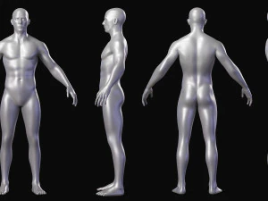 Set di maglie base del corpo realistico Modello 3D
