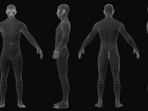 Realistic Body Base Mesh Set 3D Model