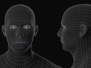 Set di maglie base del corpo realistico Modello 3D