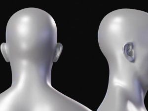 Realistic Body Base Mesh Set 3D Model