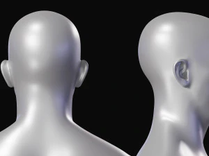 Set di maglie base del corpo realistico Modello 3D