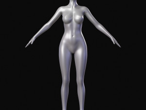Realistic Body Base Mesh Set 3D Model