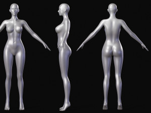 Realistic Body Base Mesh Set 3D Model