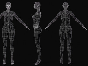 Realistic Body Base Mesh Set 3D Model
