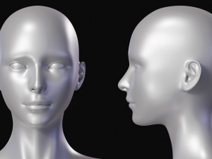 Realistic Body Base Mesh Set 3D Model