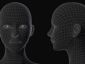 Realistic Body Base Mesh Set 3D Model
