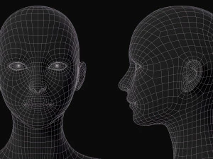 Set di maglie base del corpo realistico Modello 3D