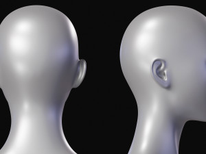 Realistic Body Base Mesh Set 3D Model