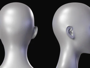 Set di maglie base del corpo realistico Modello 3D