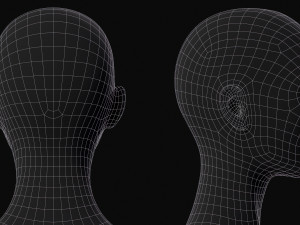 Realistic Body Base Mesh Set 3D Model