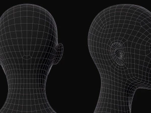 Set di maglie base del corpo realistico Modello 3D