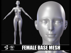 Realistic Body Base Mesh Set 3D Model