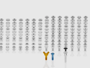 bolts self-tapping screws screws 3D Model