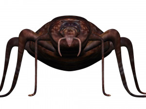 bedbug bed bug Model 3D