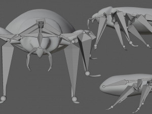 bedbug bed bug Model 3D