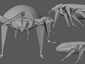 bedbug bed bug 3D Model