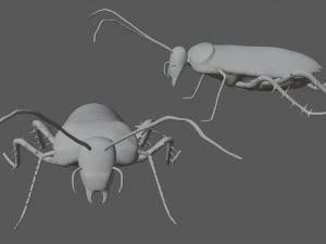 madagascar hissing cockroach 3D Model