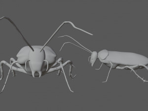 home cockroach Modello 3D