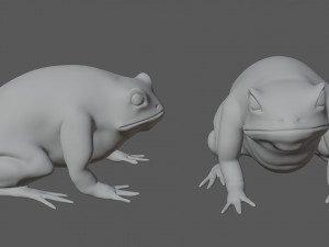 cane toad bullfrog fat frog Modelo 3D