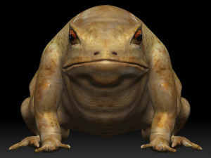 cane toad bullfrog fat frog Modelo 3D