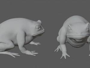 cane toad bullfrog fat frog 3D Model