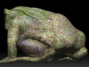 tree frog 3D-Modell