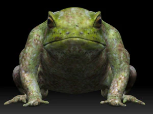 raganella Modello 3D