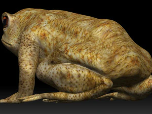 żaba z zatrutą strzałką Model 3D