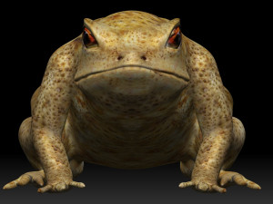poison dart frog Model 3D