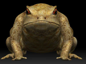 żaba z zatrutą strzałką Model 3D