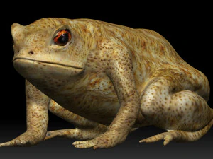 żaba z zatrutą strzałką Model 3D