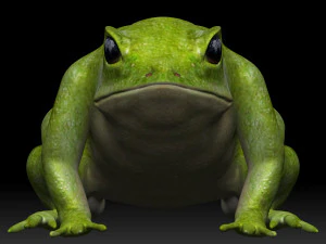green frog 3D Model