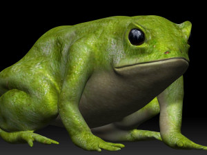green frog 3Dモデル