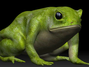 green frog 3D Model