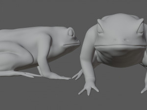 green frog 3Dモデル