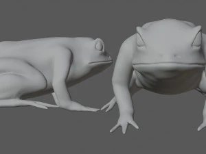 green frog 3D Model