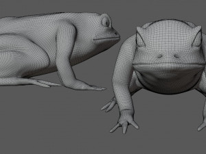 green frog 3Dモデル