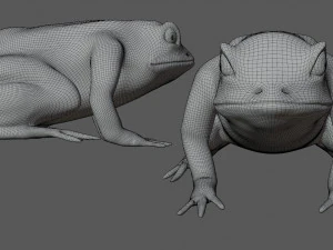 green frog 3D Model